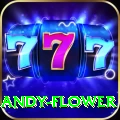 andy flower Turbo v4.8.3