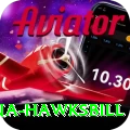 antigua hawksbill Plus v2.9.9