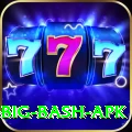 bbl big bash apk Deluxe Edition v5.1.9