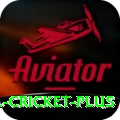 bbl cricket Prime 2024