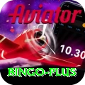 bingo Premium Edition v3.9.0