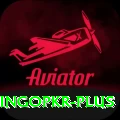 bingopkr VIP Edition v4.1.1