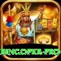 bingopkr VIP New