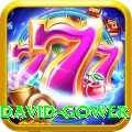 david gower Elite Pro v3.9.1