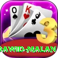 dawid malan Premium Plus v2.7.0
