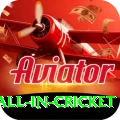 fastest ball in cricket Games (Casino & Earning) VIP v3.3.4