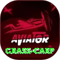 grass carp Max v4.7.0
