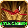 hile ilam tea garden Games (Casino & Earning) Plus v3.2.7