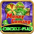 india bangladesh cricket Deluxe APK v3.7.7