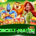 india cricket match Pro v3.0.2