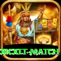 india pakistan cricket match Gold v4.0.6