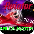 india south africa match Gold Edition v4.9.6