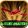 india test match Pro Edition v1.3.8