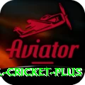 international cricket Slots Ultimate v3.1.4