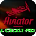 international cricket - Supreme Earning App