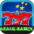 makalu barun VIP Pro v4.1.0