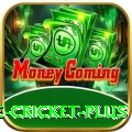 online cricket Casino Official v5.6.3