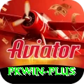 pkwin Gold v4.7.8