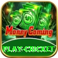 play cricket Premium Edition v5.3.7