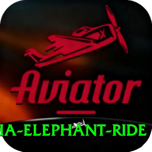 sauraha elephant ride Master Pro v4.9.8 - 2