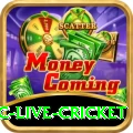 smartcric live cricket Pro v3.3.0