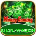 steve waugh Games (Casino & Earning) Gold v4.0.4