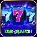t20 match Deluxe v1.5.5
