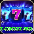 test cricket - Pro v1.0.6