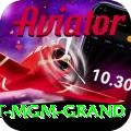 the signature at mgm grand Apps (Tools & Injectors) Premium v5.5.1