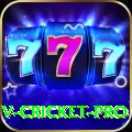 v cricket VIP Pakistan