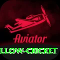 willow cricket Plus v1.9.8
