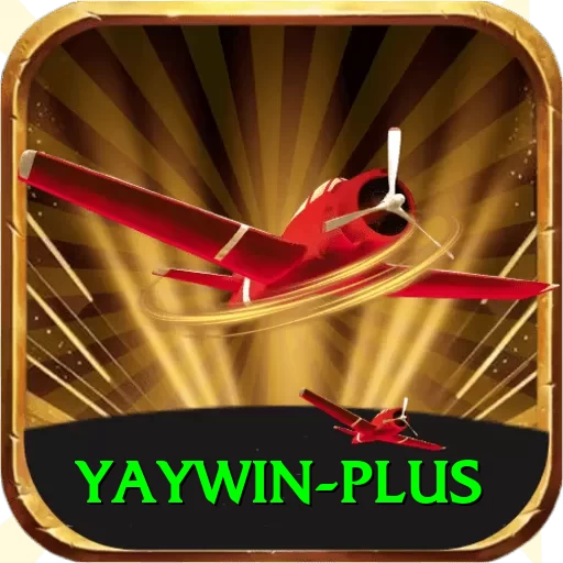 yaywin Deluxe Edition v5.3.9 - 2