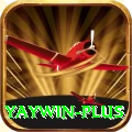 yaywin Deluxe Edition v5.3.9